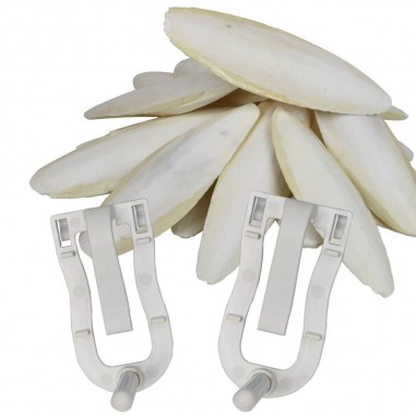 Os de seiche - Copyright Alp'Osmose - 004047