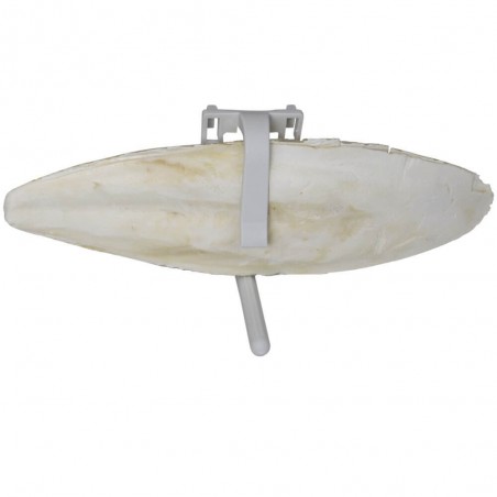 Porte os de seiche - Copyright Alp'Osmose - 004046